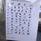 JARNÍ STEZKA NA ŠKOLNÍ ZAHRADĚ JARNÍ STEZKA NA ŠKOLNÍ ZAHRADĚ