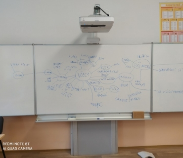 PROJEKT VČELA
