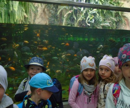 MATEŘSKÁ ŠKOLA V ZOO