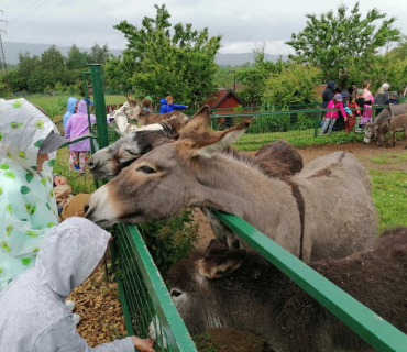 SPOLEČNÝ VÝLET 1. A 3. TŘÍDY