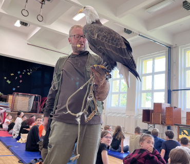 DRAVCI V TĚLOCVIČNĚ