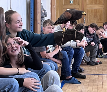 DRAVCI V TĚLOCVIČNĚ