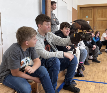 DRAVCI V TĚLOCVIČNĚ