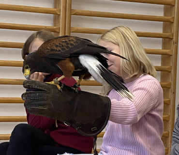 DRAVCI V TĚLOCVIČNĚ