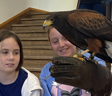 DRAVCI V TĚLOCVIČNĚ