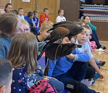 DRAVCI V TĚLOCVIČNĚ