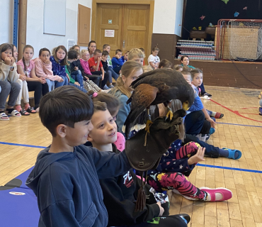 DRAVCI V TĚLOCVIČNĚ