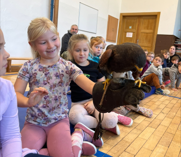 DRAVCI V TĚLOCVIČNĚ