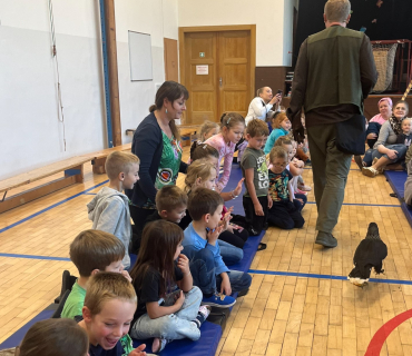 DRAVCI V TĚLOCVIČNĚ