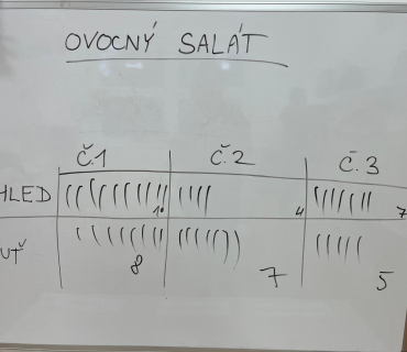 SALÁTY V DRUŽINĚ 1. TŘÍDY