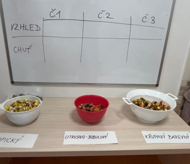 SALÁTY V DRUŽINĚ 1. TŘÍDY