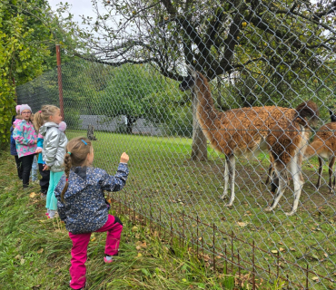 SALÁTY V DRUŽINĚ 1. TŘÍDY