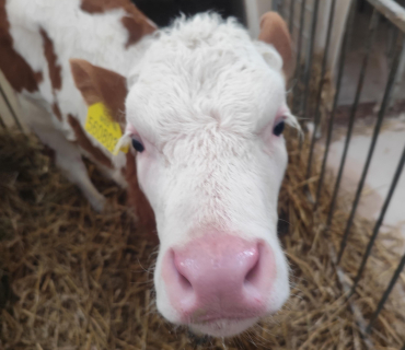 MLADÝ ZEMĚDĚLEC 2026