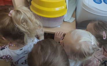 PROJEKT KUŘÁTKO V MŠ