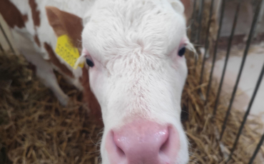 MLADÝ ZEMĚDĚLEC 2026