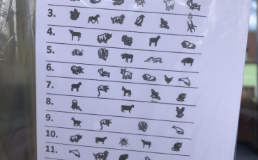 JARNÍ STEZKA NA ŠKOLNÍ ZAHRADĚ JARNÍ STEZKA NA ŠKOLNÍ ZAHRADĚ